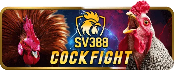 Tổng quan nền tảng giải trí alo88 win